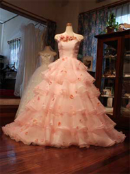 淡いピンクのオーガンジーのオーバードレス